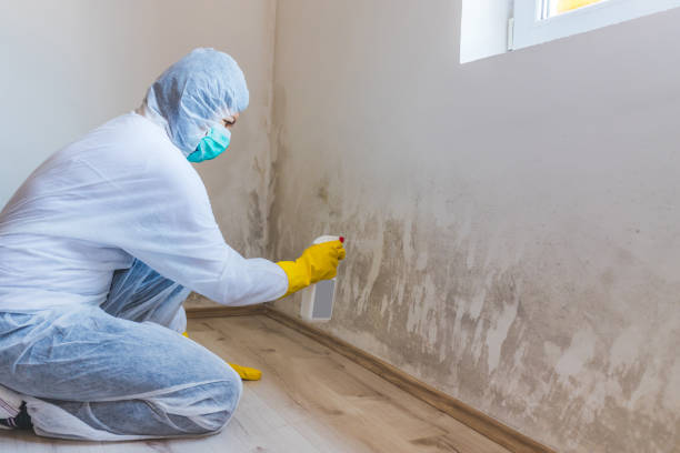 Commercial Mold Remediation assessment for commercial property in Arcadia